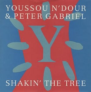 Peter Gabriel Shakin' The Tree (w/ Youssou N'Dour) album cover