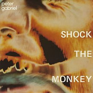 Peter Gabriel Shock the Monkey album cover