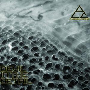 A Lonely Crowd - Devil in the Detail CD (album) cover