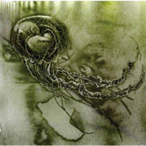 Psychocean - Embryonal Confinement CD (album) cover