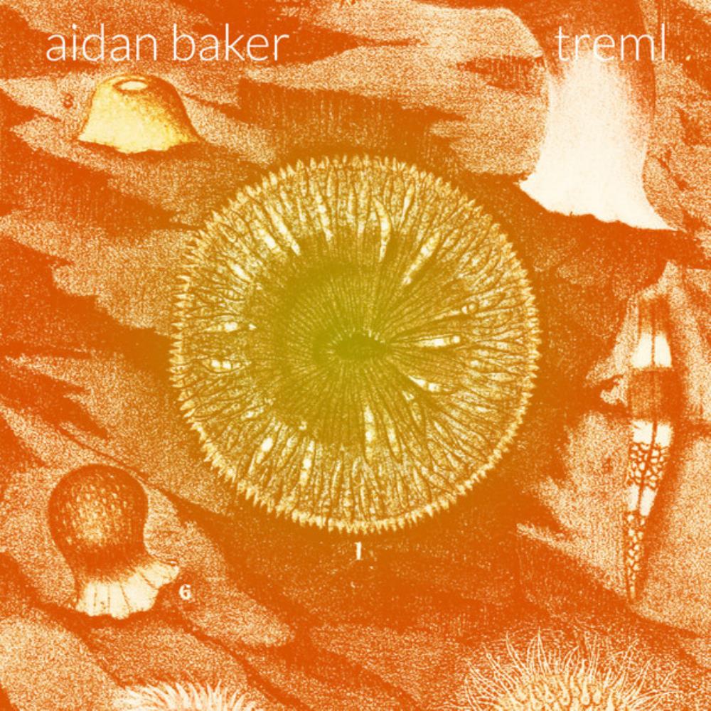 Aidan Baker Treml album cover