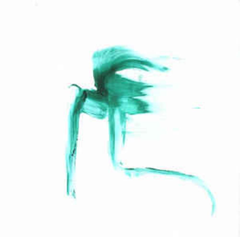 Aidan Baker Same River Twice album cover
