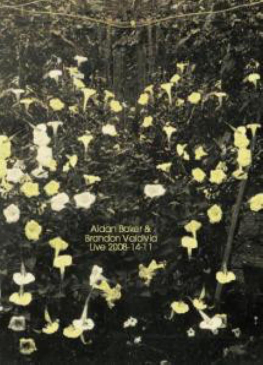 Aidan Baker - Aidan Baker & Brandon Valdivia: Live 2008-11-11 CD (album) cover