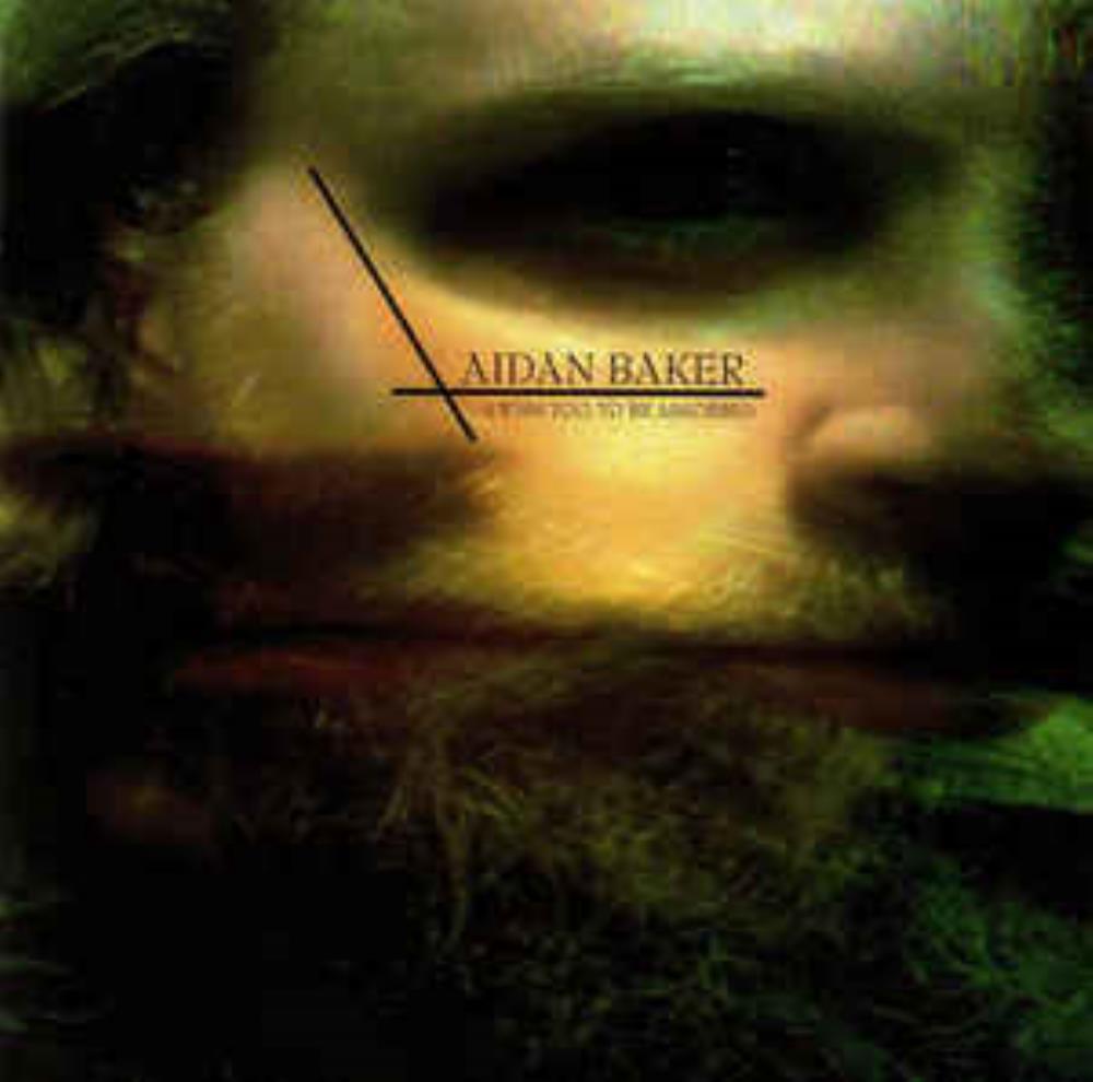 Aidan Baker I Wish Too, To Be Absorbed album cover