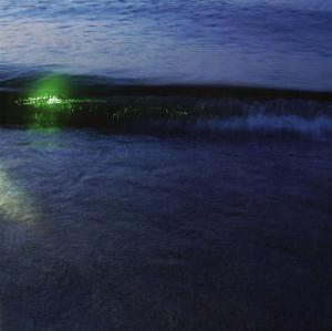 Emeralds - Emeralds CD (album) cover