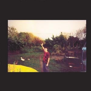 Current 93 - Moonbird CD (album) cover