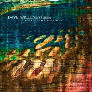 Dave Willey - Immeasurable Currents CD (album) cover