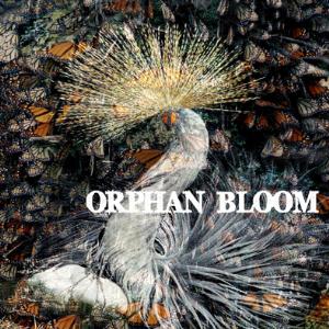 Orphan Bloom Orphan Bloom album cover