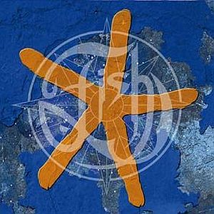 13th Star - Fish