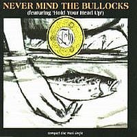 Fish Never Mind The Bullocks album cover