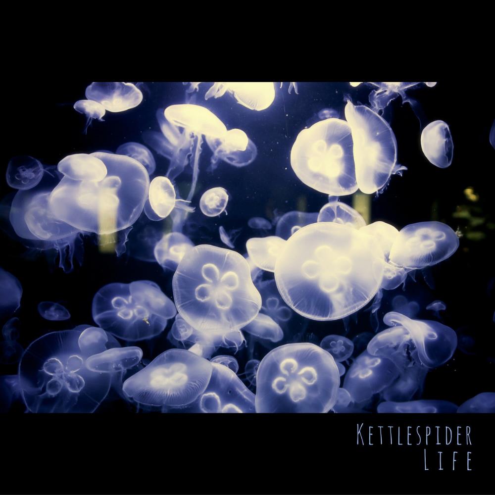 Kettlespider Life album cover