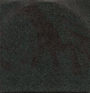 Ashtray Navigations In Liquid Bravado album cover