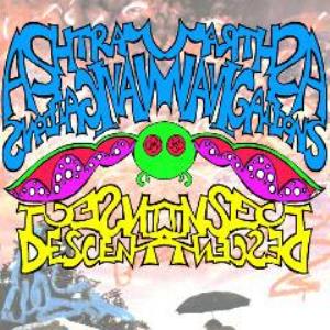 Ashtray Navigations - Insect Descent CD (album) cover