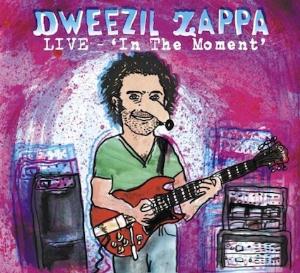 Dweezil Zappa Live - In the Moment album cover