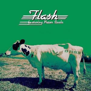 Flash - In Public CD (album) cover