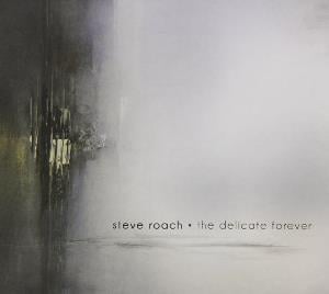 Steve Roach - The Delicate Forever CD (album) cover
