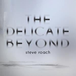 Steve Roach The Delicate Beyond album cover
