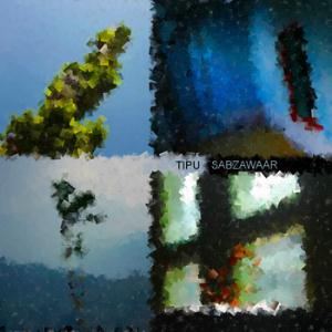 Tipu Sabzawaar - Brink Trip CD (album) cover