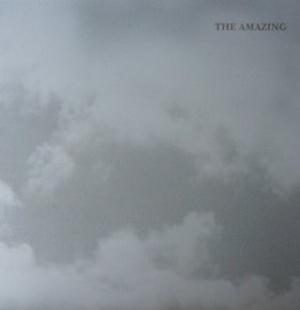 The Amazing The Amazing album cover