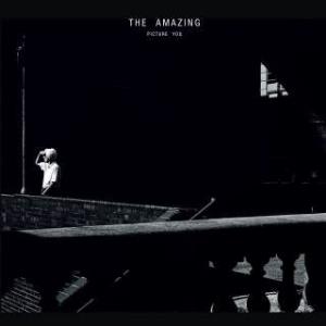 The Amazing - Picture You CD (album) cover