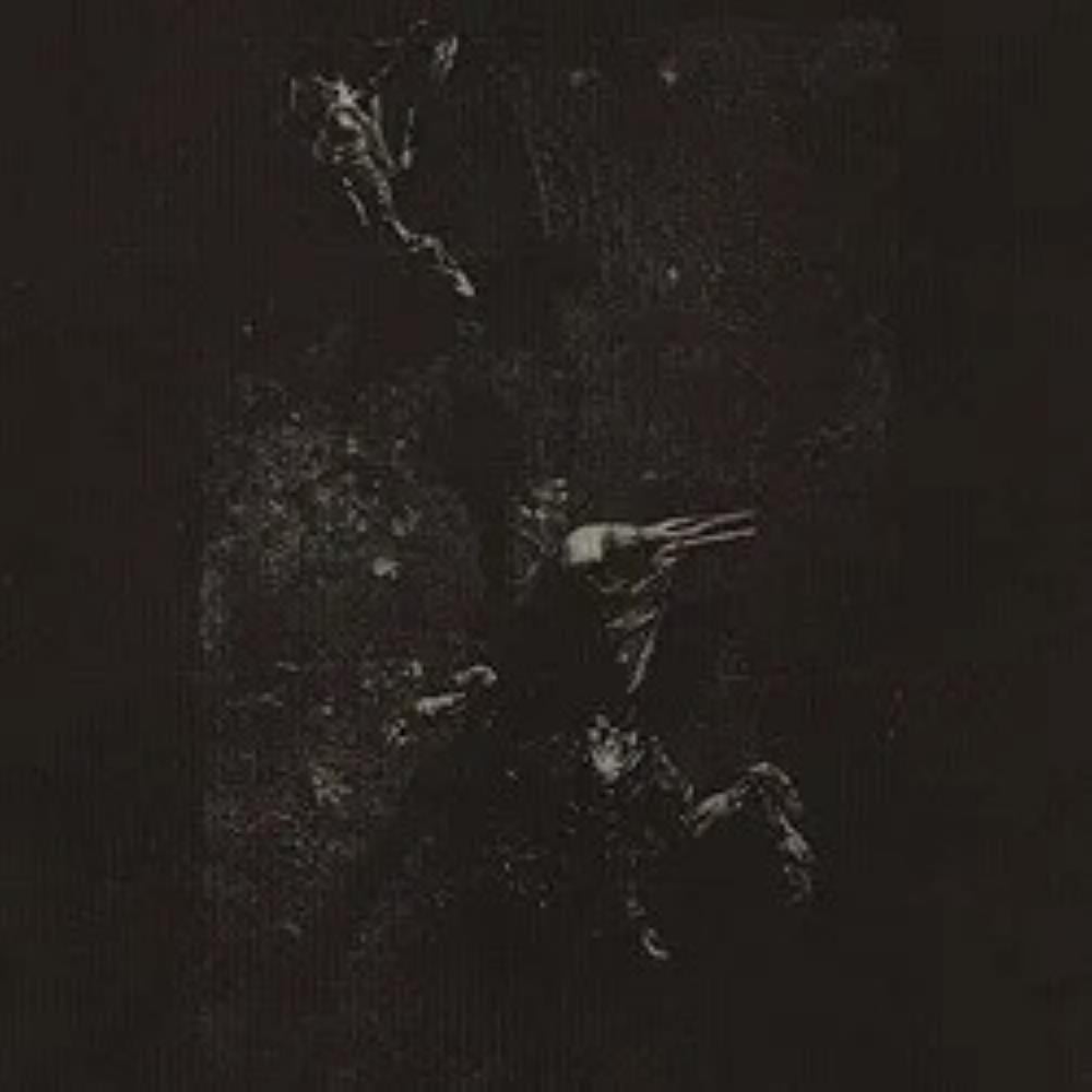 Randy Greif In Our Little Bodies (split with Illusion of Safety) album cover