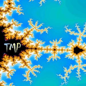 TMP (Toon Martens Project) - TMP CD (album) cover