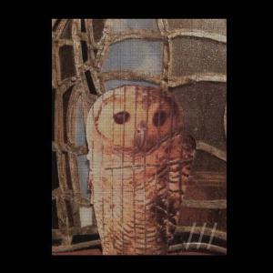 U Sco - Nest CD (album) cover