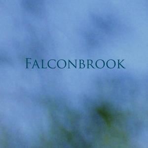 Falconbrook Falconbrook album cover