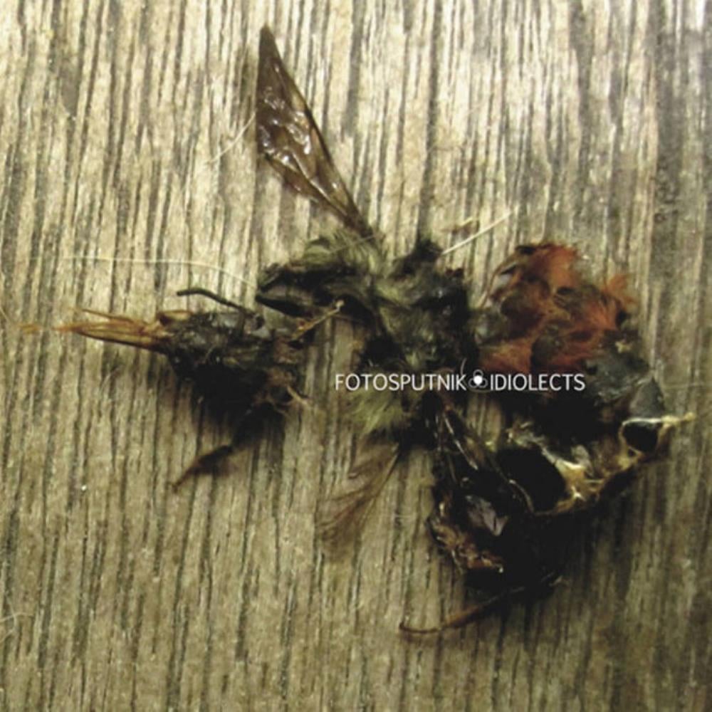 Fotosputnik - Idiolects CD (album) cover