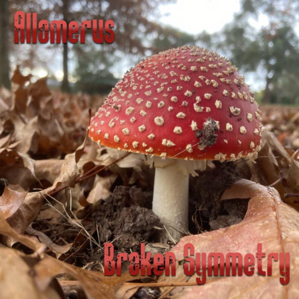 Allomerus - Broken Symmetry CD (album) cover