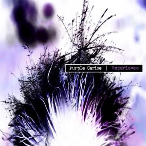 Purple Cerise Experience - Purple Cerise Experience CD (album) cover