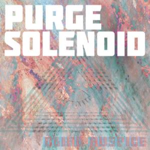Purge Solenoid Blind Auspice album cover