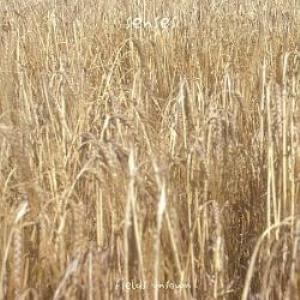 Senses Fields Unsown album cover