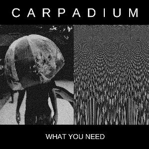 Carpadium - What You Need CD (album) cover