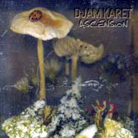 Djam Karet - Ascension - New Dark Age, Volume 2 CD (album) cover