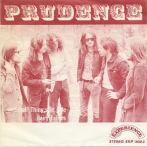 Prudence - Small Things In Life / Hairy Fairies CD (album) cover