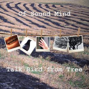 Of Sound Mind Talk Bird from Tree album cover