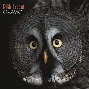 Rikk Eccent - Owlawol CD (album) cover