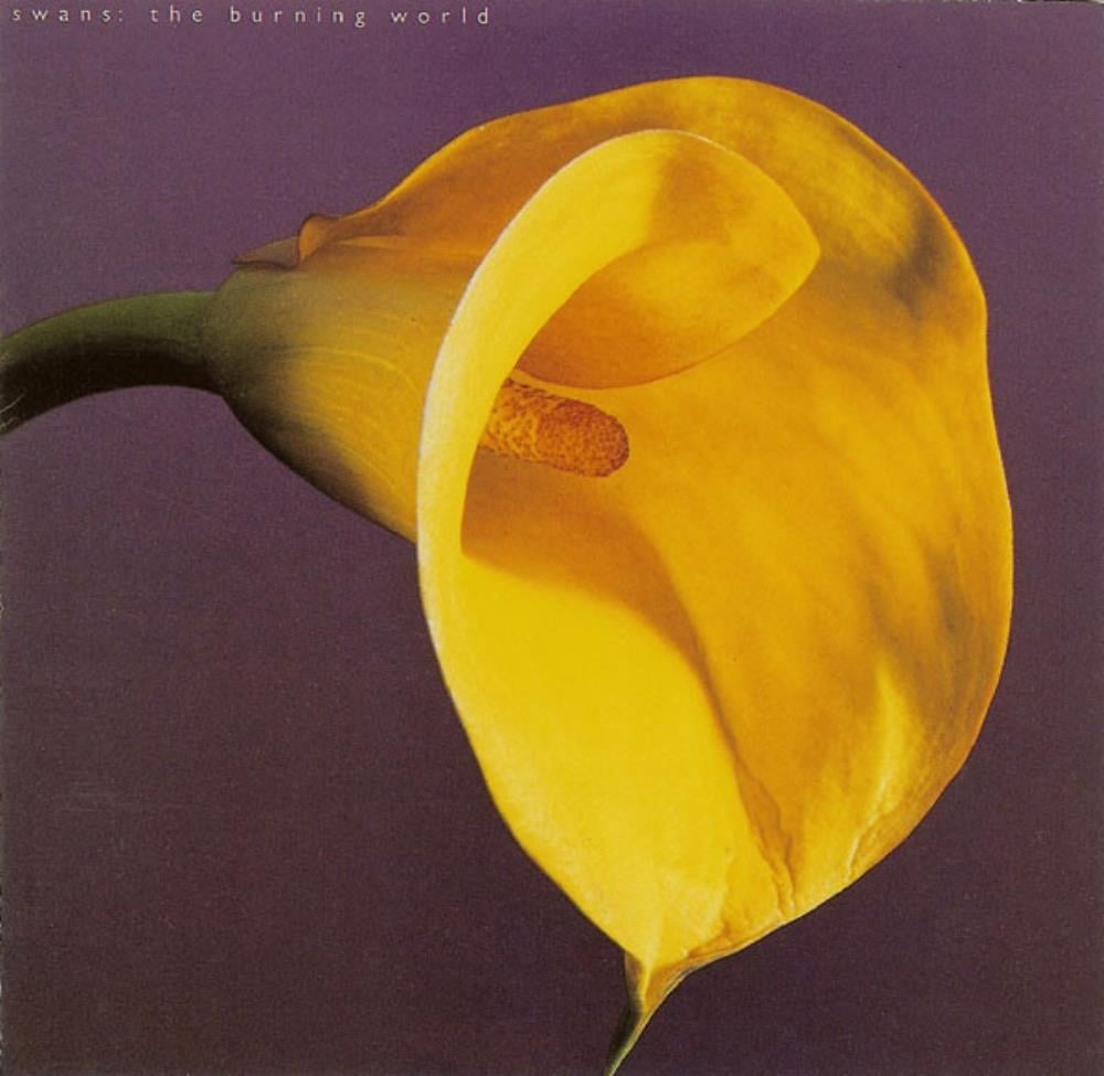 Swans - The Burning World CD (album) cover
