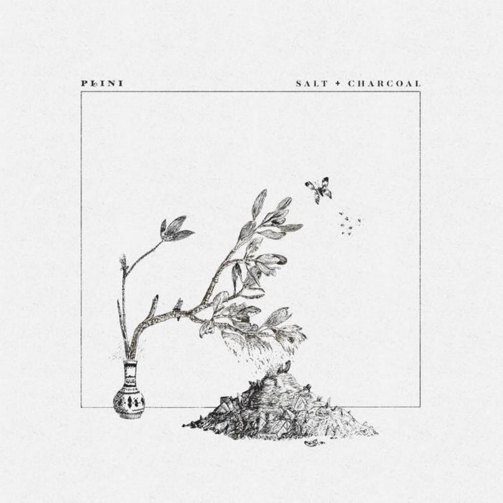 Plini Salt + Charcoal album cover