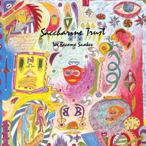 Saccharine Trust - We Became Snakes CD (album) cover