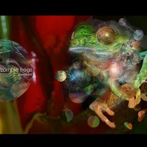Zombie Frogs - Awaken CD (album) cover