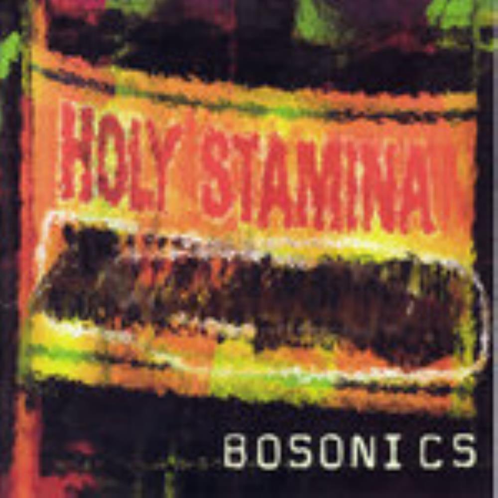 Pekka Airaksinen - Holy Stamina (Bosonics) CD (album) cover