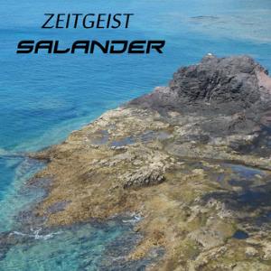 Salander Zeitgeist album cover