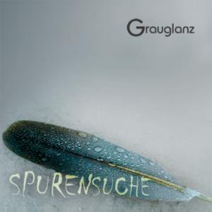 Grauglanz spurensuche  album cover