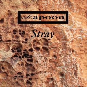 Rapoon Stray album cover