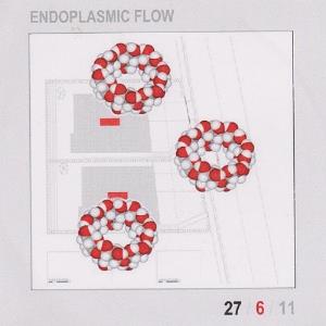 Endoplasmic Flow 27/6/11 album cover