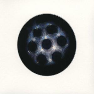 Fovea Hex Bloom album cover