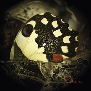 Ossicles - Music for Wastelands CD (album) cover