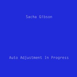 Sacha Gibson - Auto Adjustment In Progress CD (album) cover